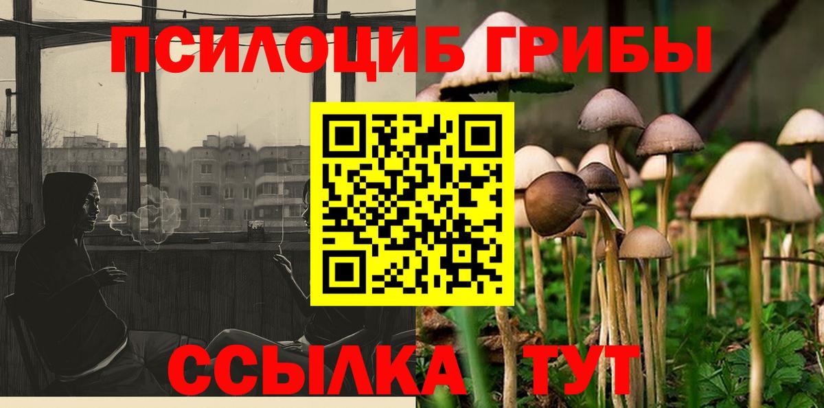 Псилоцибиновые грибы Cubensis Мытищи