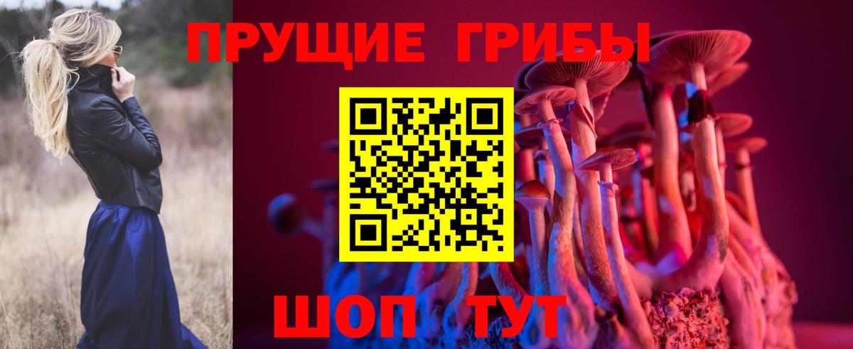 Псилоцибиновые грибы Magic Shrooms  Галлюциногенные грибы GOLDEN TEACHER  Мытищи  Вход с VPN 